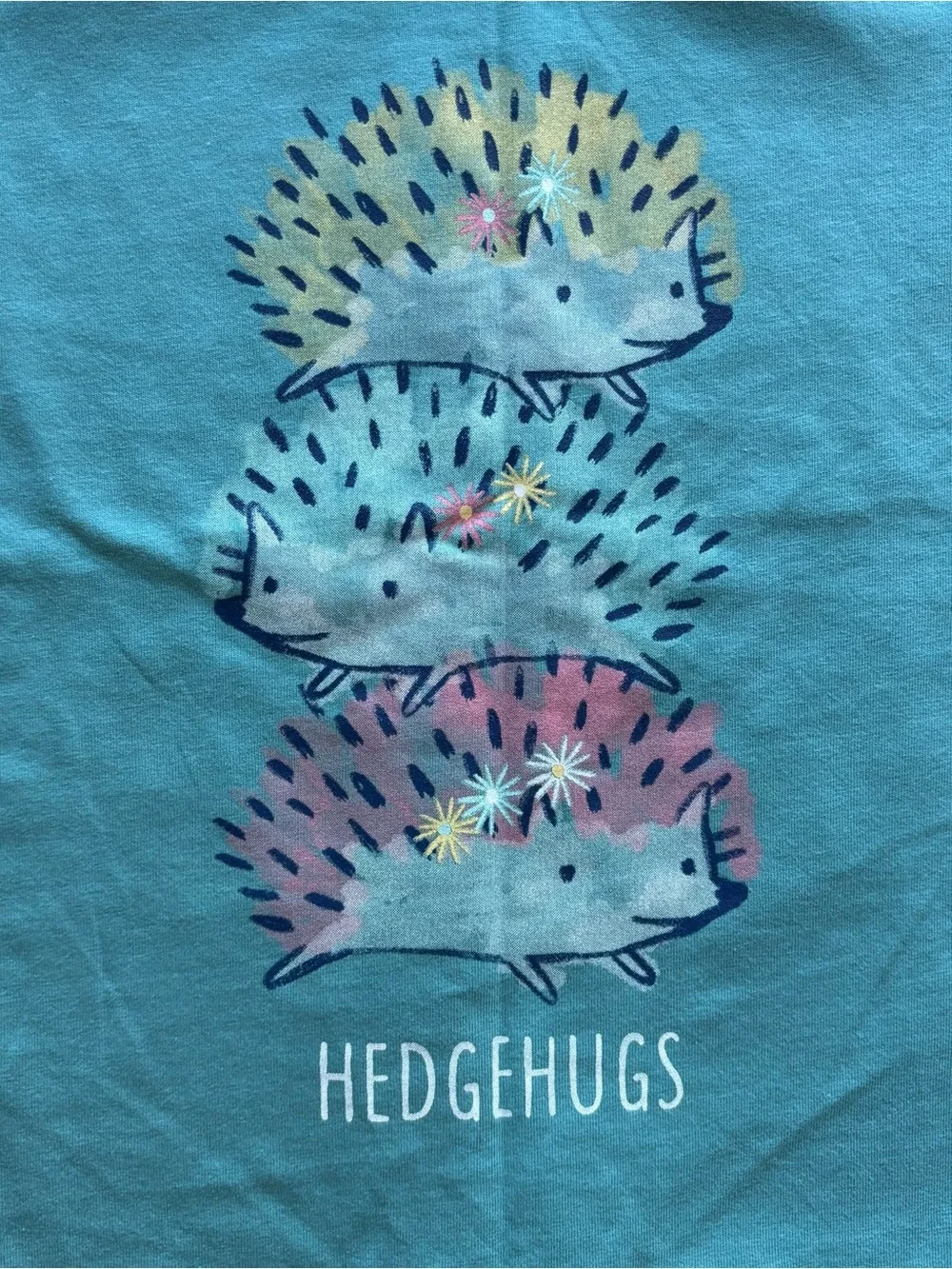 New OshKosh B'gosh Girls 5T Top & Leggings Set Long sleeve Hedgehog Blue Pink